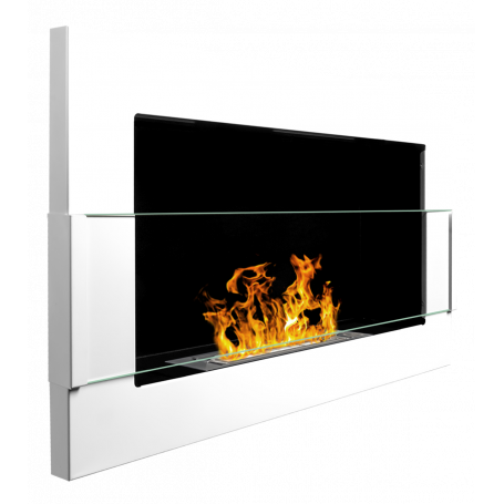 Biotakka Wall Home 65, seinäkiinnitteinen suojalasilla