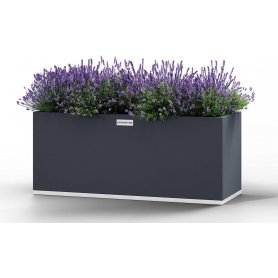 Cook King Suorakulmainen teräksinen istutuslaatikko 140/50