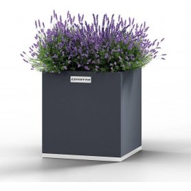 Cook King Neliönmuotoinen teräksinen istutuslaatikko kork 50 cm