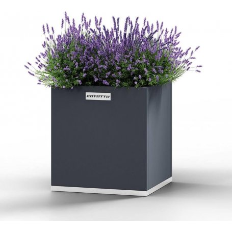 Cook King Neliönmuotoinen teräksinen istutuslaatikko lev 60, kork 75 cm