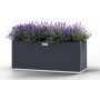 Cook King Suorakulmainen teräksinen istutuslaatikko 120/50