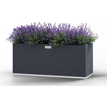 Cook King Suorakulmainen teräksinen istutuslaatikko 120/75